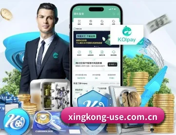 星空娱乐 APP 深度功能